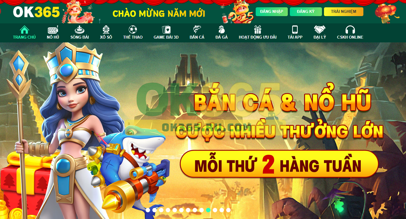 Miễn trừ trách nhiệm về tương tác và hành vi người dùng